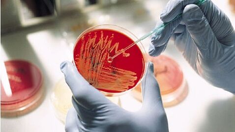 bakterijska kultura za prostatitis za propisivanje antibiotika
